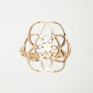 Flower of Life Flower of Life